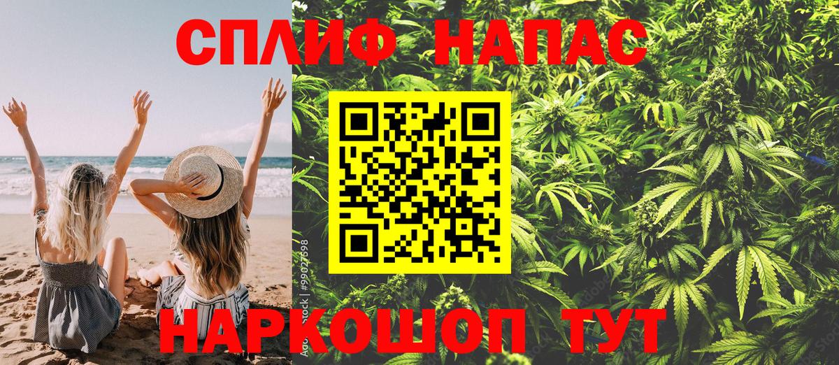 Бошки марихуана семена Зеленокумск